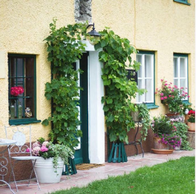 Ferienwohnung Alpenblick Kuchl Extérieur photo
